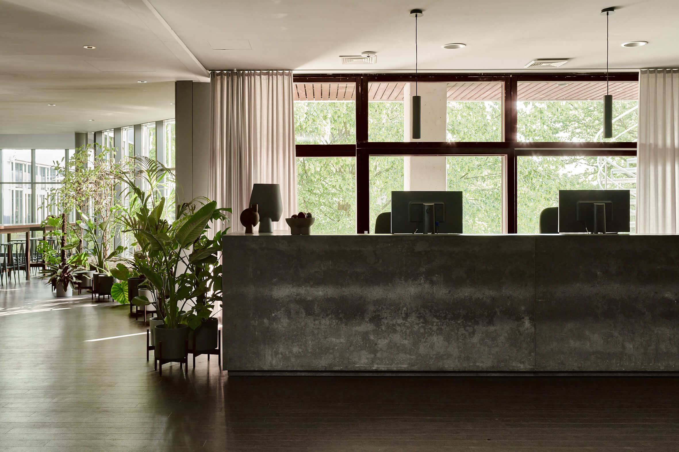 Willkommen im Bold Campus Grauer Rezeptionstresen mit Monitoren vor einer hellen Fensterfront, links davon ein Gang entlang des Fensters gesäumt mit vielen Topfpflanzen.