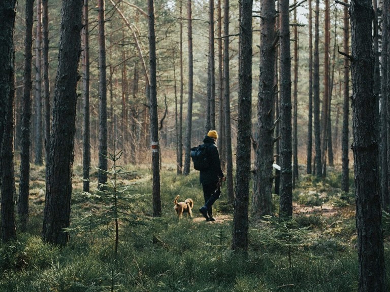 Person in warmer Kleidung mit ockerfarbener Mütze und Rucksack, die mit ihrem Hund durch einen Wald läuft